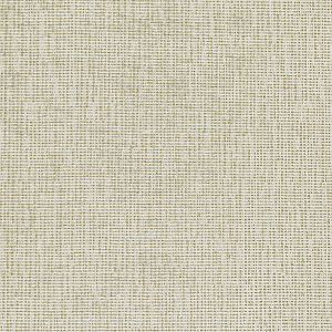Ivory on Gray