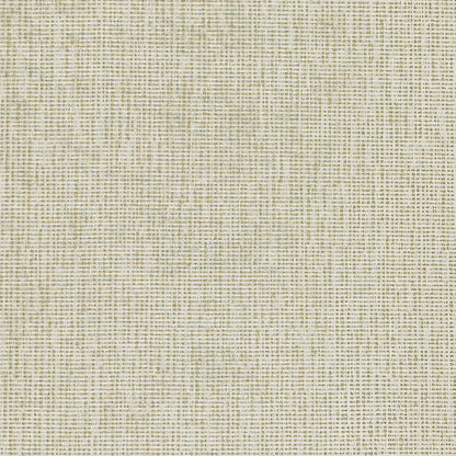 Ivory on Gray