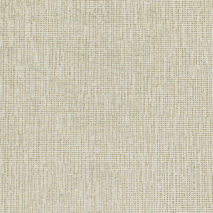 Ivory on Gray